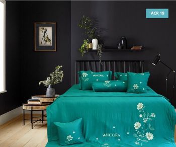 Bộ chăn ga gối ACR 19